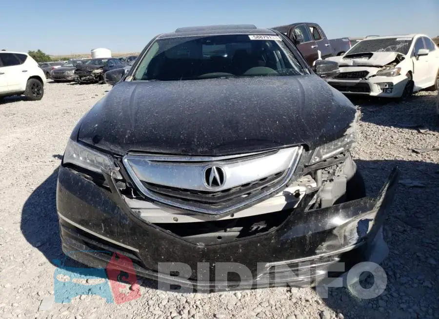19UUB2F51FA007974 Photo# 5