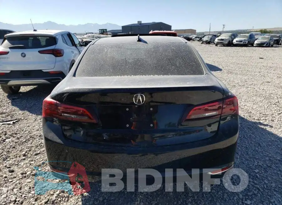 19UUB2F51FA007974 Photo# 6