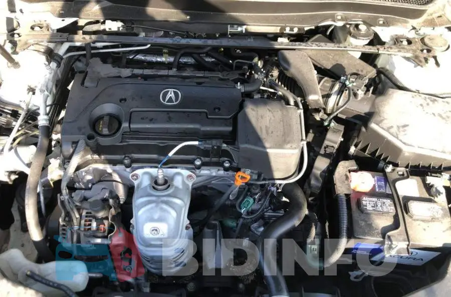 19UUB1F32FA012996 Photo# 7