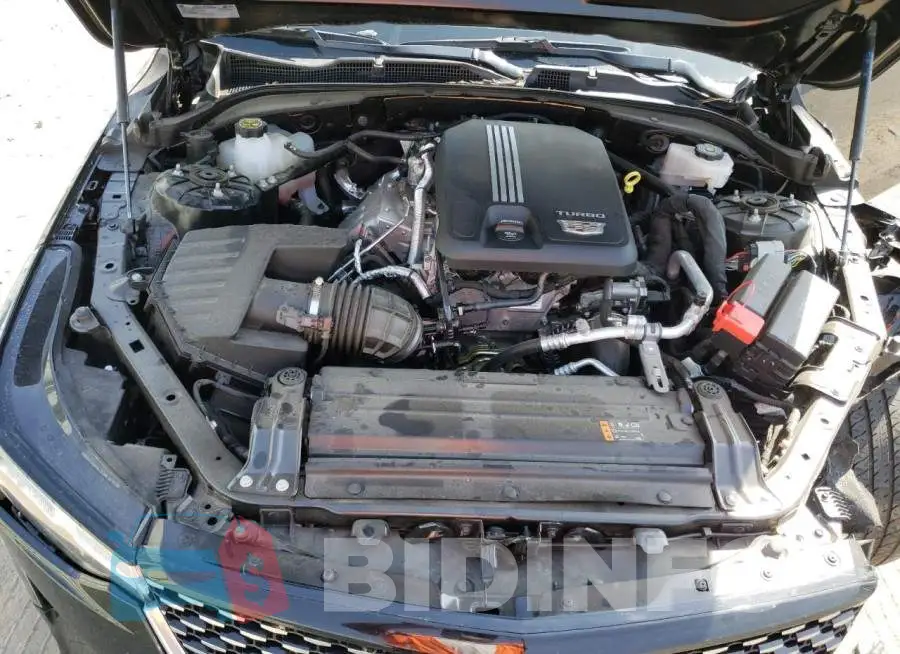 1G6DB5RK1M0146901 Photo# 11