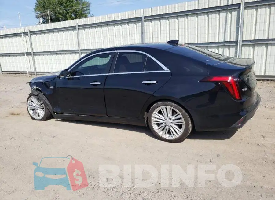 1G6DB5RK1M0146901 Photo# 2