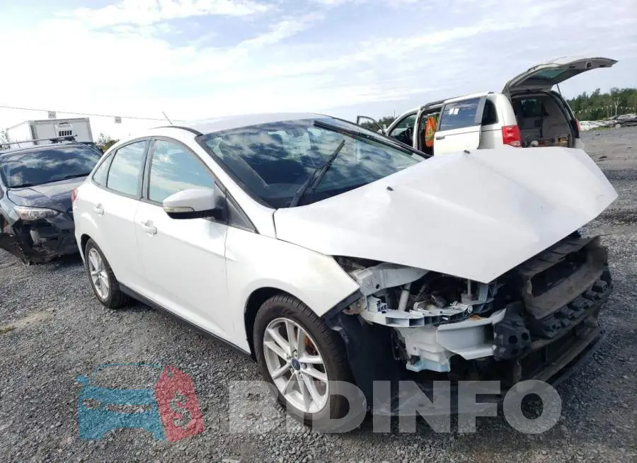 1FADP3F20GL392516 Photo# 4
