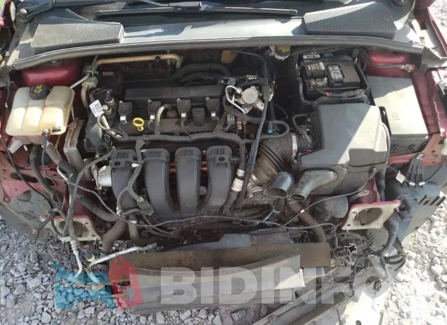 1FADP3F21GL355636 Photo# 11
