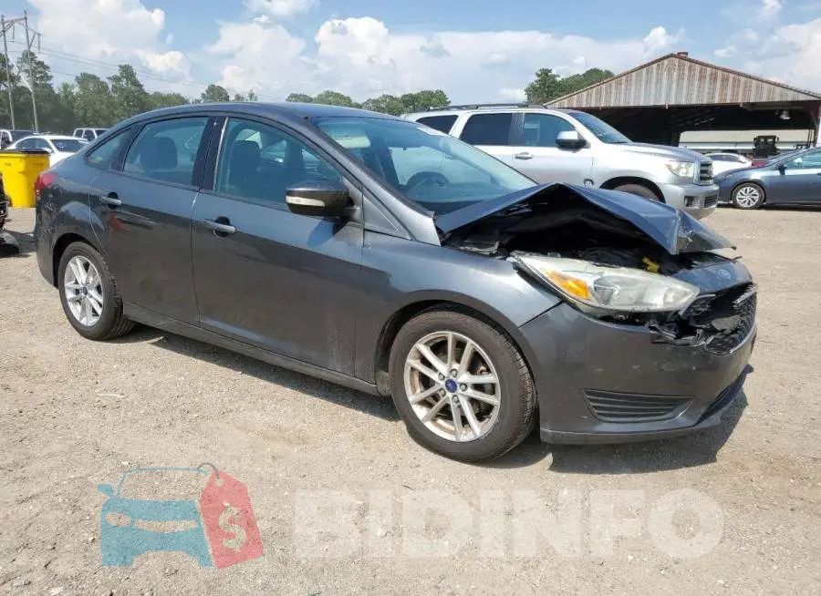 1FADP3F25GL338533 Photo# 4