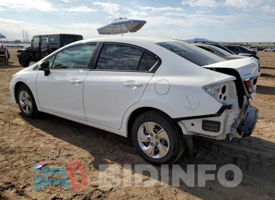 19XFB2F55FE073903 Photo# 2