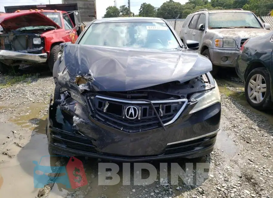 19UUB1F33FA010531 Photo# 5