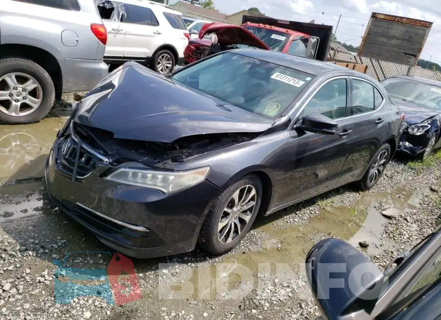 19UUB1F33FA010531 Photo# 1