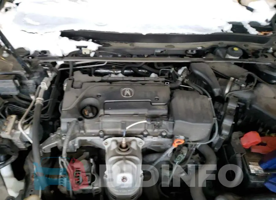 19UUB1F3XFA018089 Photo# 11