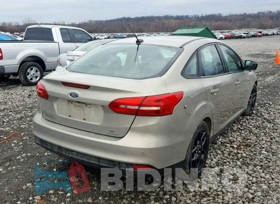1FADP3F25GL343618 Photo# 4