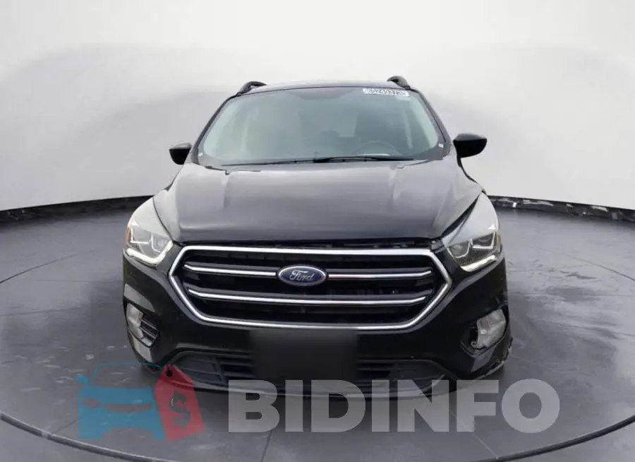 1FMCU0GD7KUB61754 Photo# 5