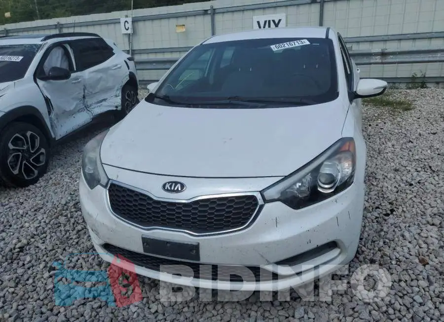 KNAFX4A67E5212613 Photo# 5