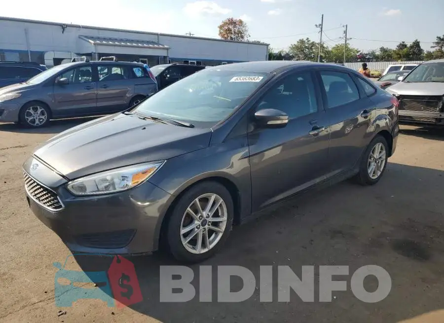 1FADP3F24FL353233 Photo# 1