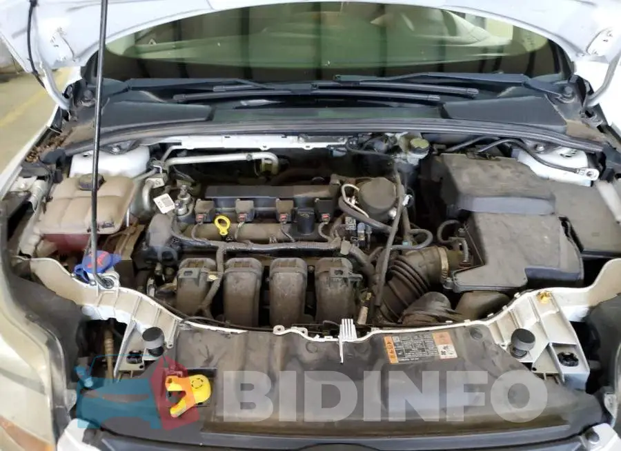 1FADP3F29EL390244 Photo# 11