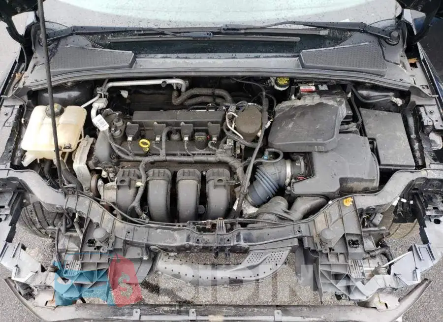 1FADP3F29GL227886 Photo# 11