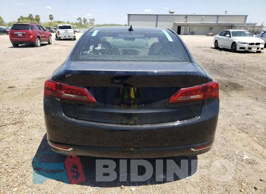 19UUB1F50FA010584 Photo# 6