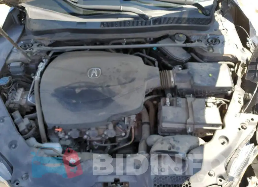 19UUB2F57FA001435 Photo# 11