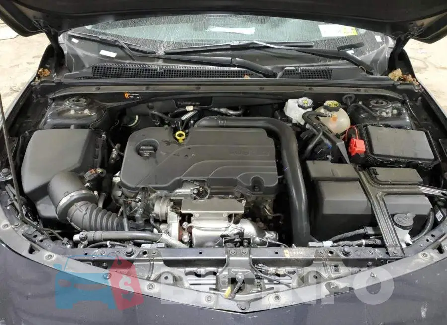 1G1ZD5ST8PF141186 Photo# 11