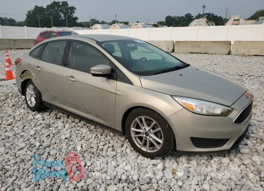 1FADP3F29GL403464 Photo# 4