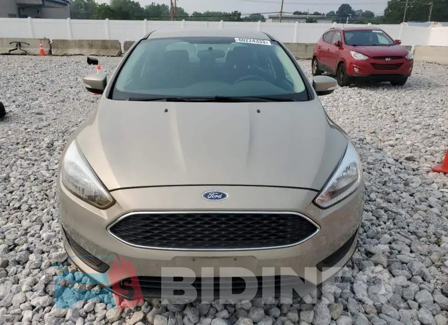 1FADP3F29GL403464 Photo# 5