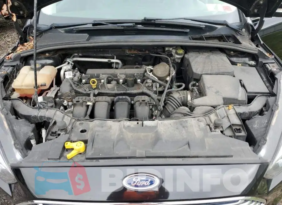 1FADP3N24FL226841 Photo# 11