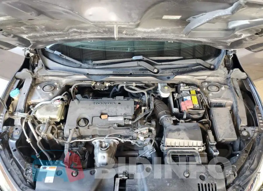 19XFC2F59HE025000 Photo# 11