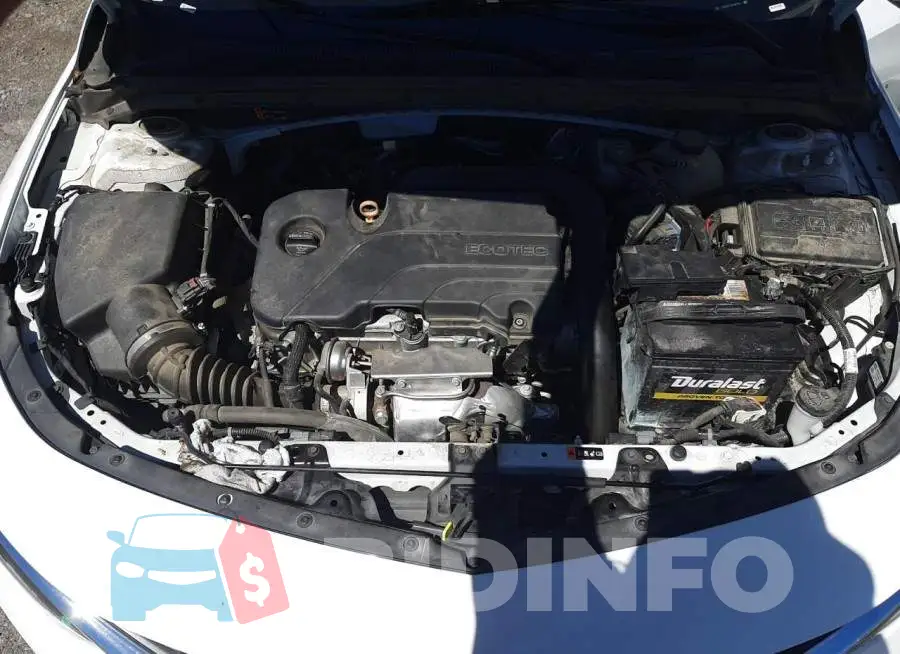 1G1ZD5ST3MF061774 Photo# 11