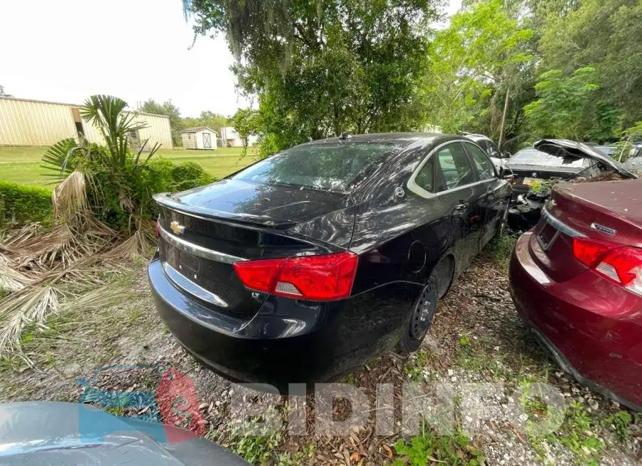 2G1125S37E9148316 Photo# 4