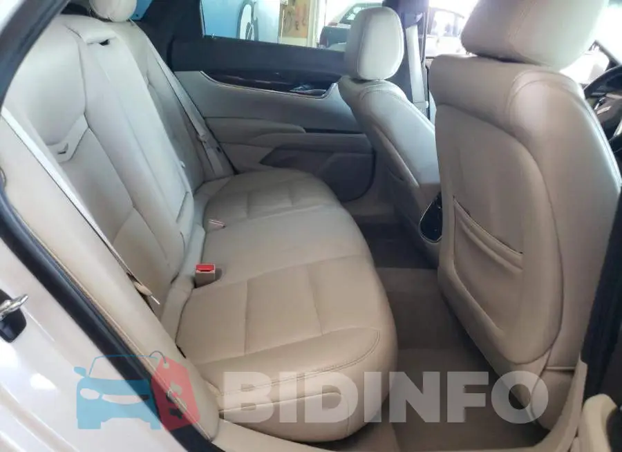 2G61M5S3XG9167465 Photo# 10