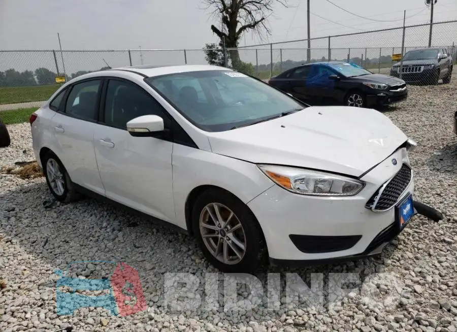 1FADP3F24GL213944 Photo# 4