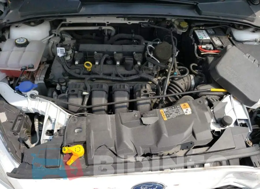 1FADP3F24GL213944 Photo# 11