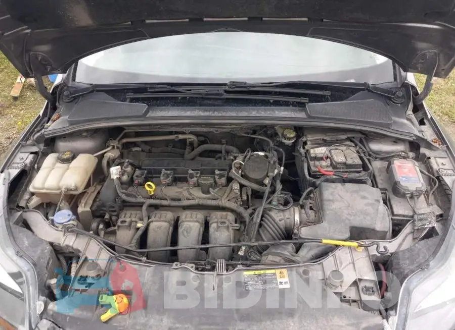 1FADP3J22EL223697 Photo# 11