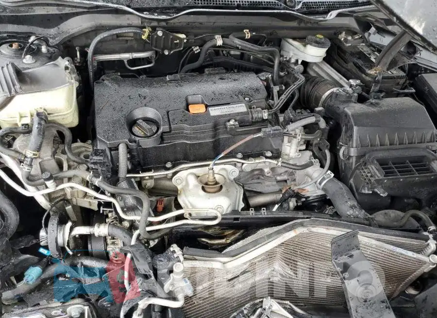 19XFC2F52GE066776 Photo# 11