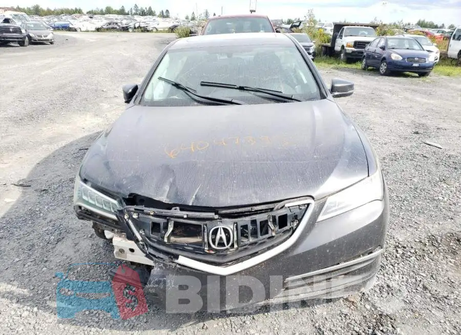 19UUB3F36FA802975 Photo# 5