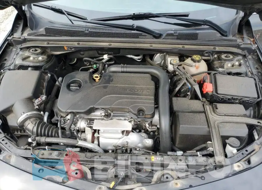 1G1ZD5ST8LF053510 Photo# 11