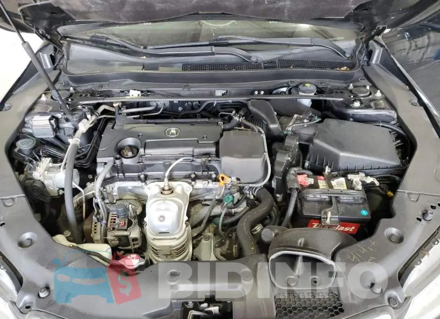 19UUB1F37GA005916 Photo# 11
