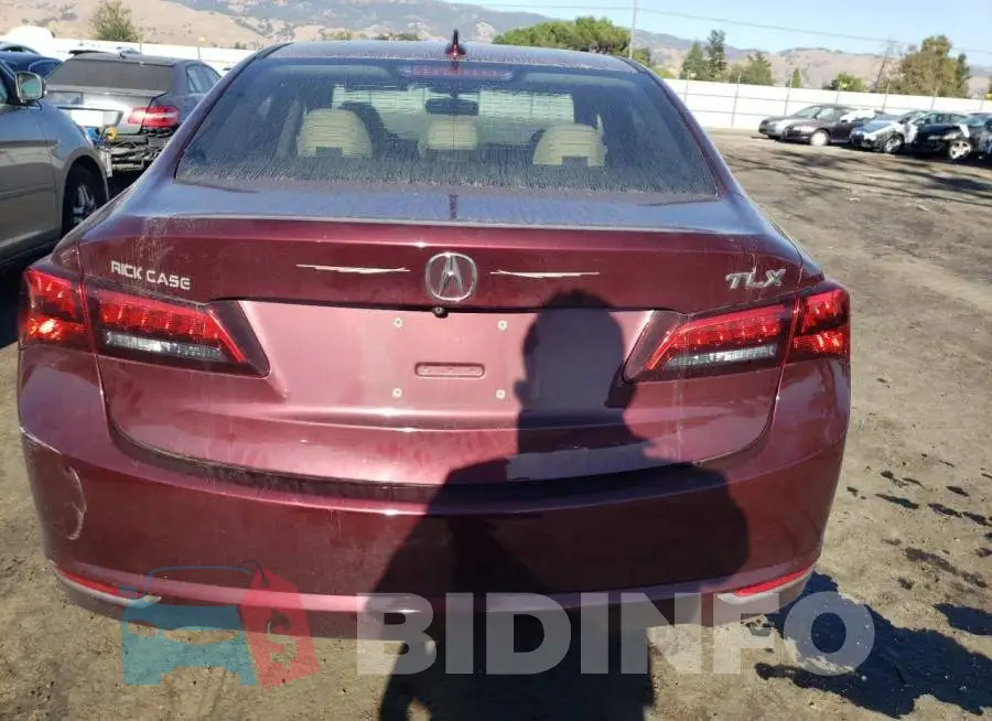 19UUB1F39FA000358 Photo# 6