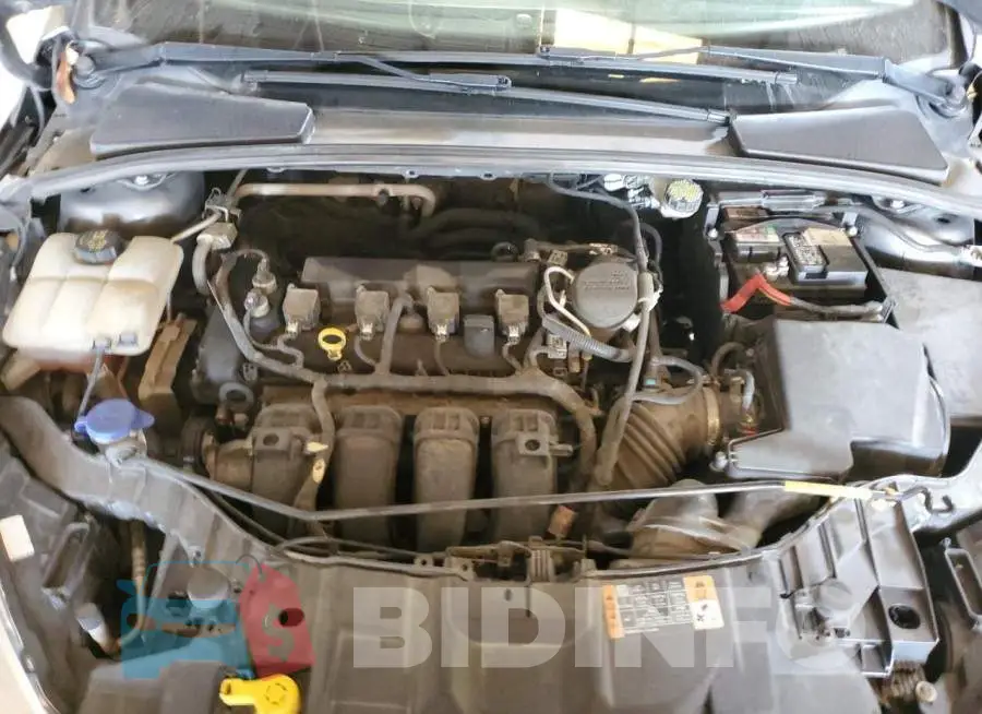 1FADP3F21GL201265 Photo# 11