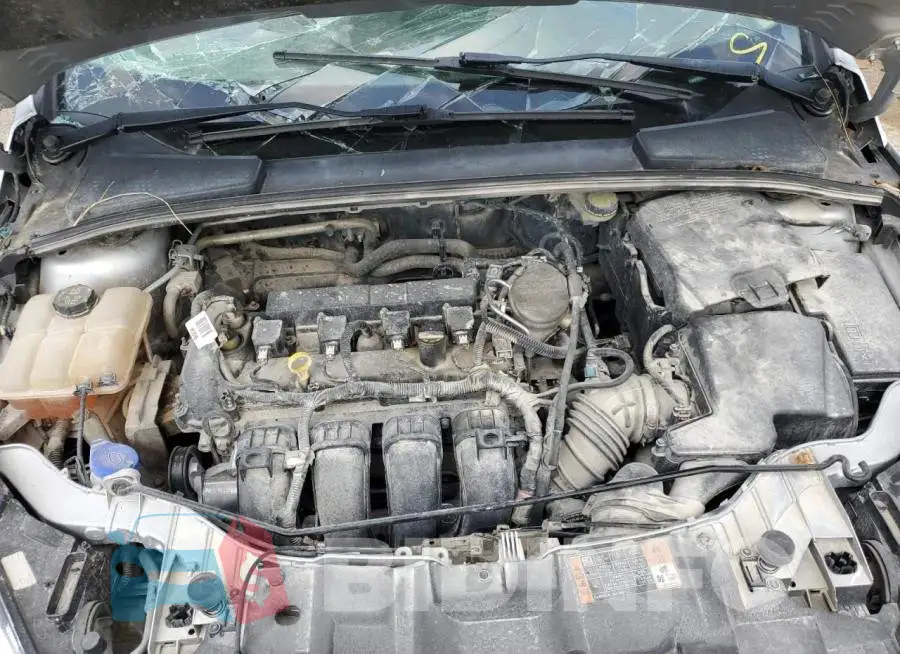 1FADP3F24GL320802 Photo# 11