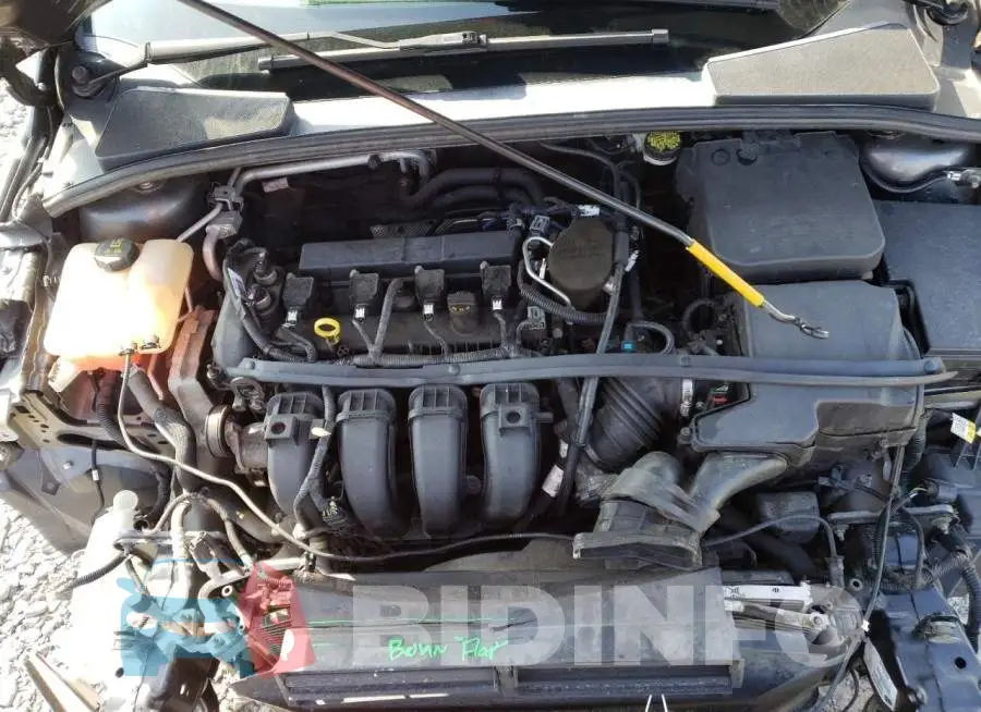 1FADP3F2XFL342544 Photo# 11