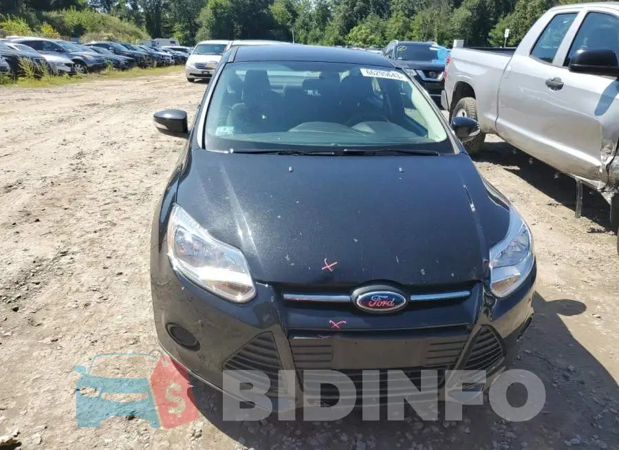1FADP3F22EL221098 Photo# 5