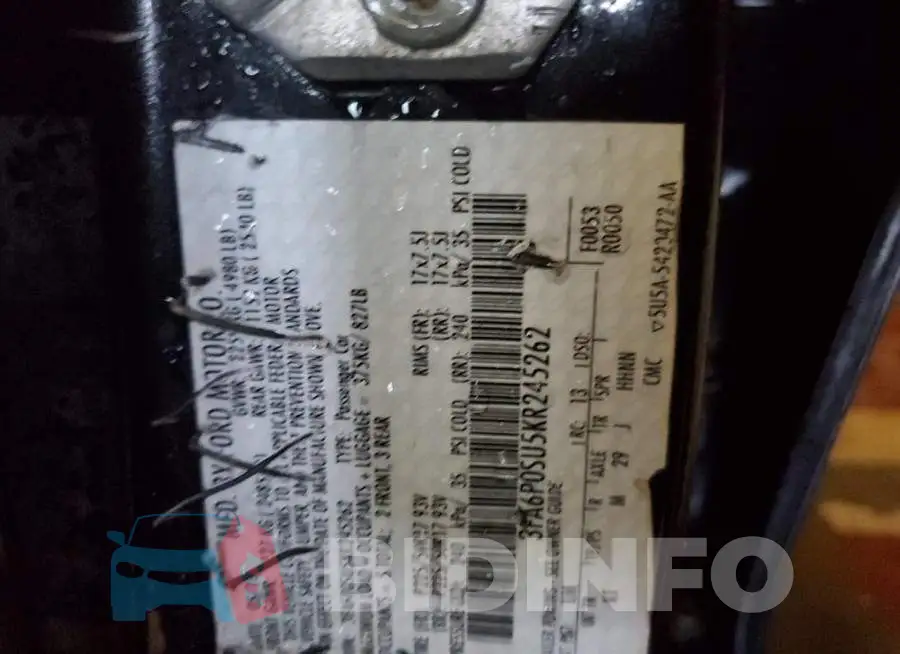 3FA6P0SU5KR245262 Photo# 12