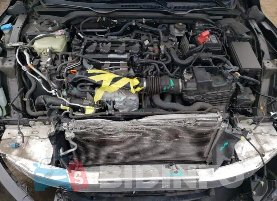 19XFC1F31GE205840 Photo# 11
