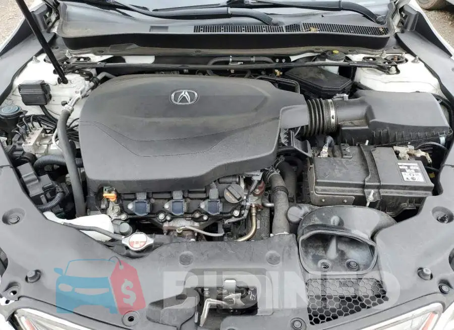 19UUB2F56FA015150 Photo# 11