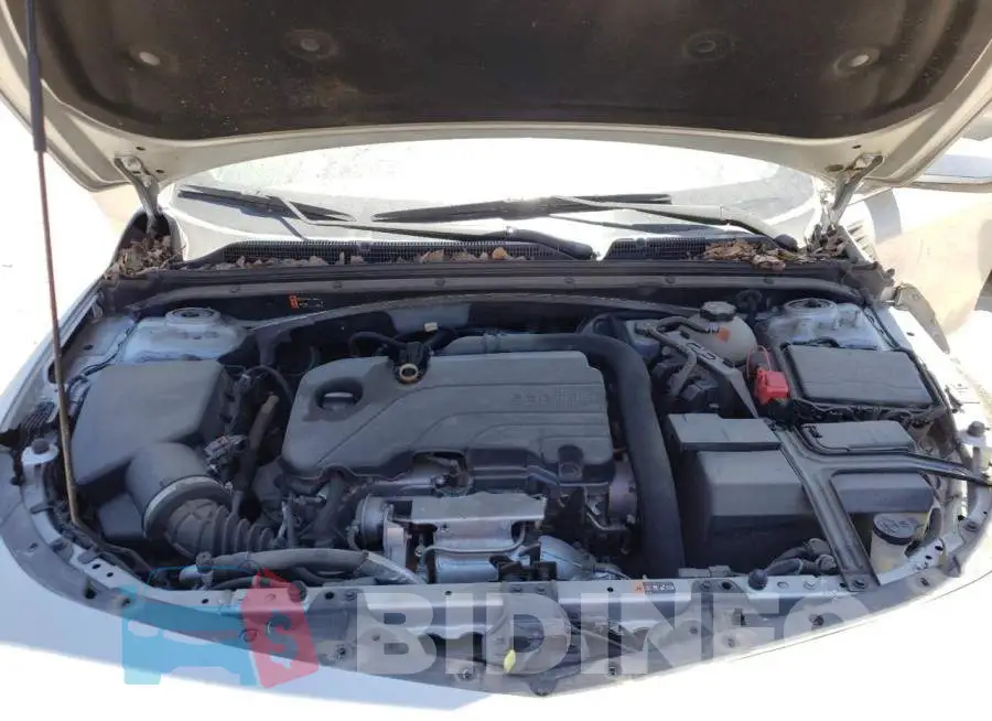1G1ZD5ST6LF068734 Photo# 11