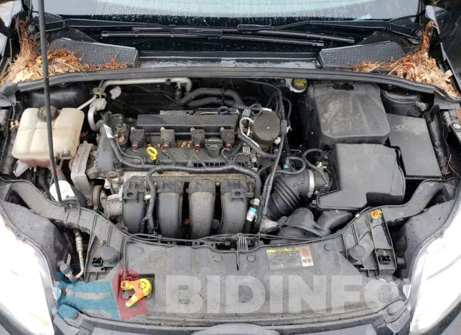 1FADP3K29EL250832 Photo# 11