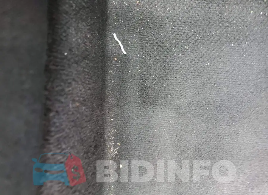 5NPEG4JA4MH123017 Photo# 10