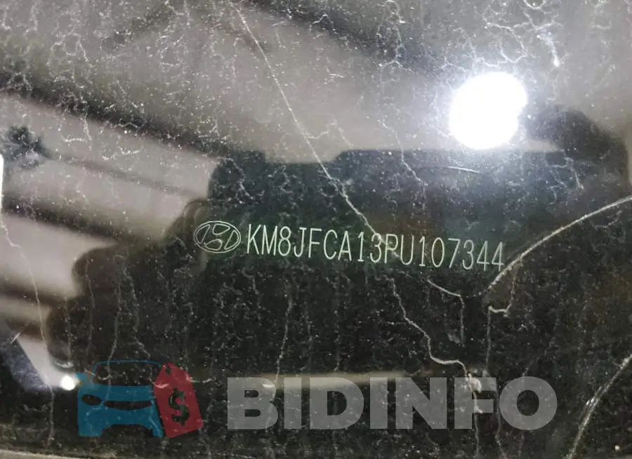 KM8JFCA13PU107344 Photo# 13