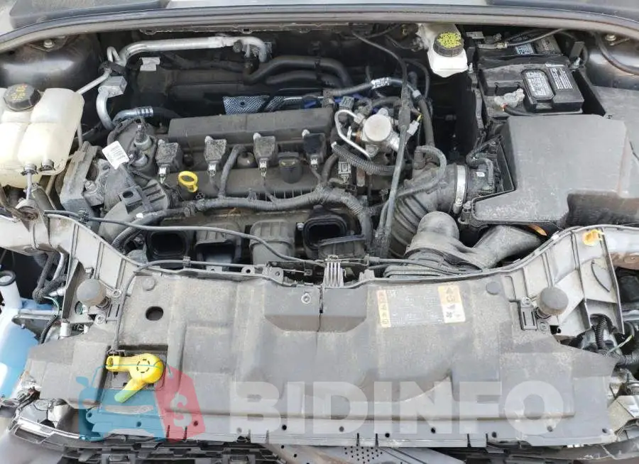 1FADP3E24JL254695 Photo# 11