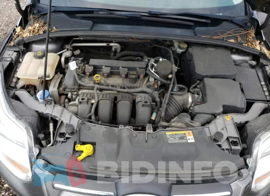 1FADP3F22EL238631 Photo# 11