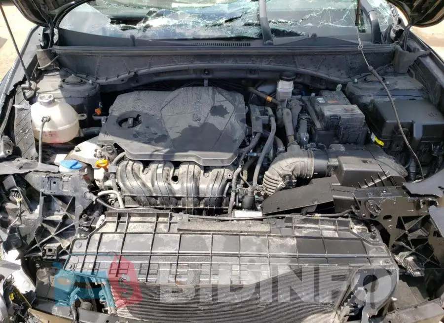 KM8JB3AE8NU032698 Photo# 12
